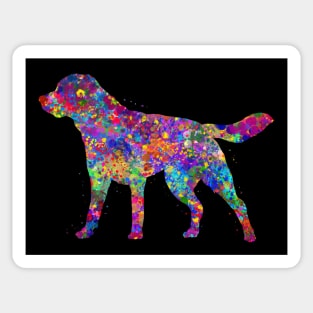 Labrador dog Sticker